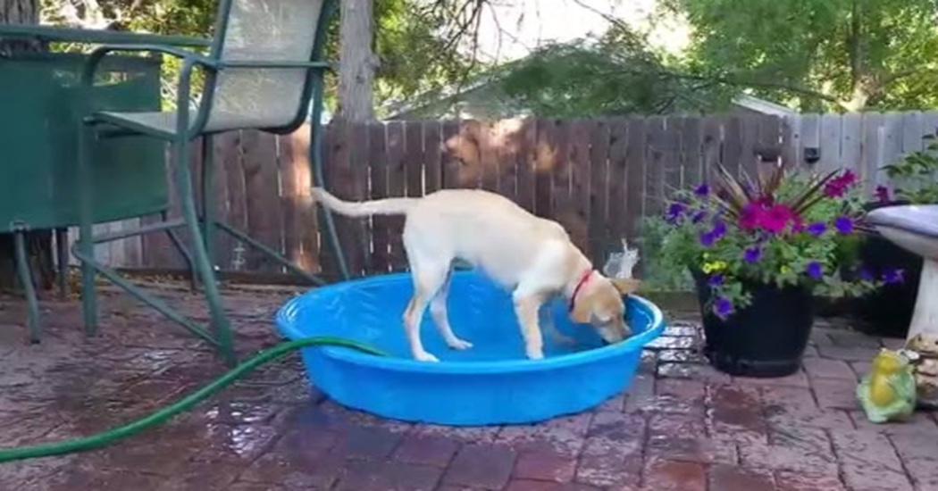 fill up a pool