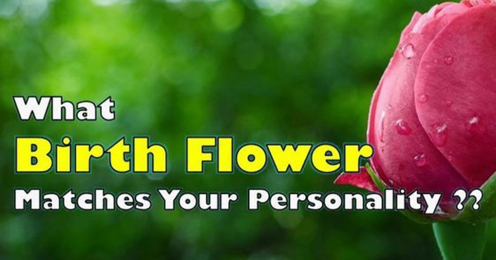 Here’s What Your Birth Flower Reveals About Your Personality