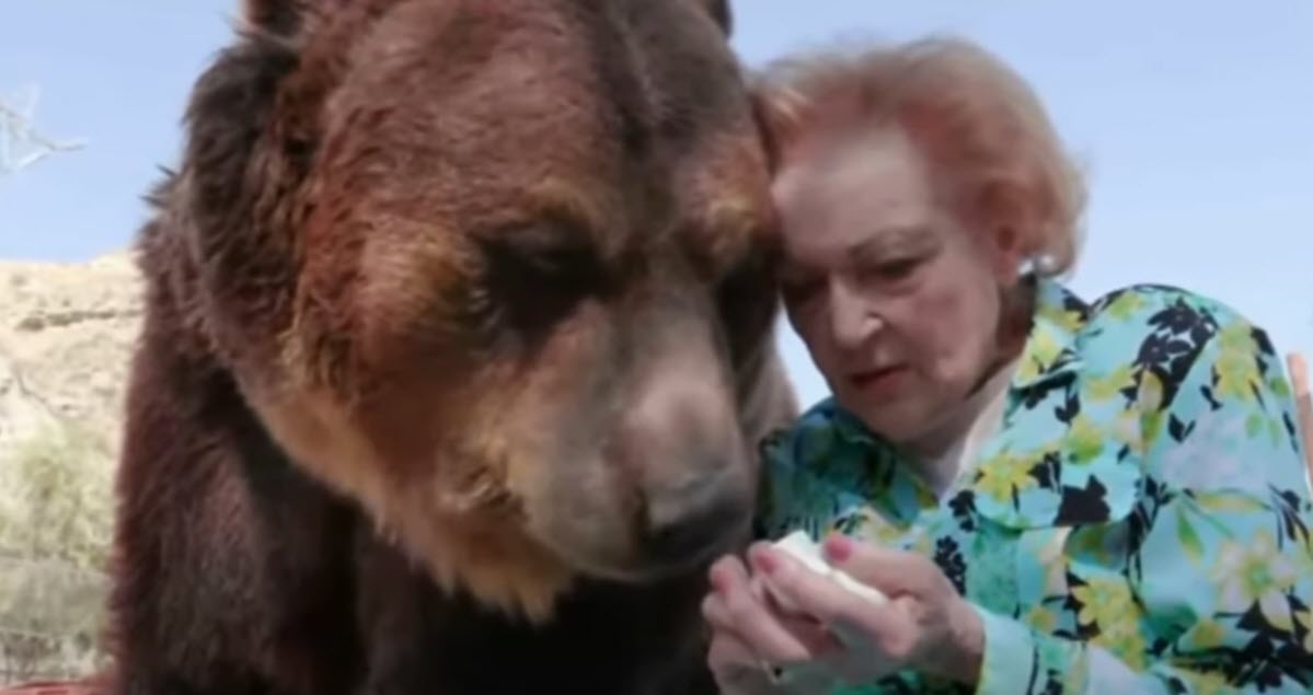 Watch 99 Year Old Betty White Giving A Giant Grizzly Bear A Kiss 