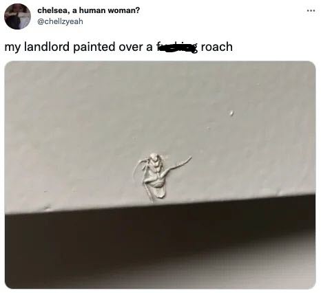 Landlord Paints Over Cockroach But Just Wait Till You See The Memes ...